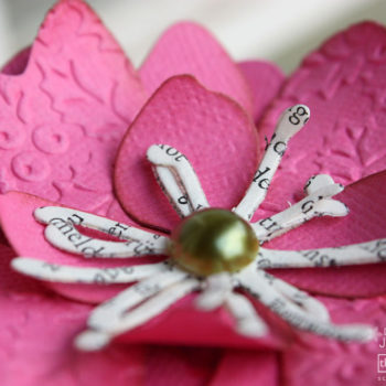 Xcut A5 Die Sets Gift Box Flower Detail